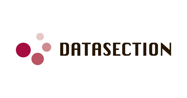 Datasection Inc